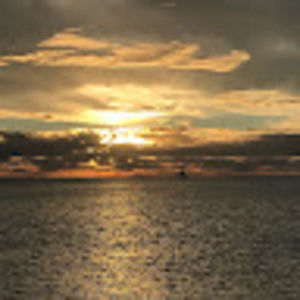 Meet your Posher, Talia